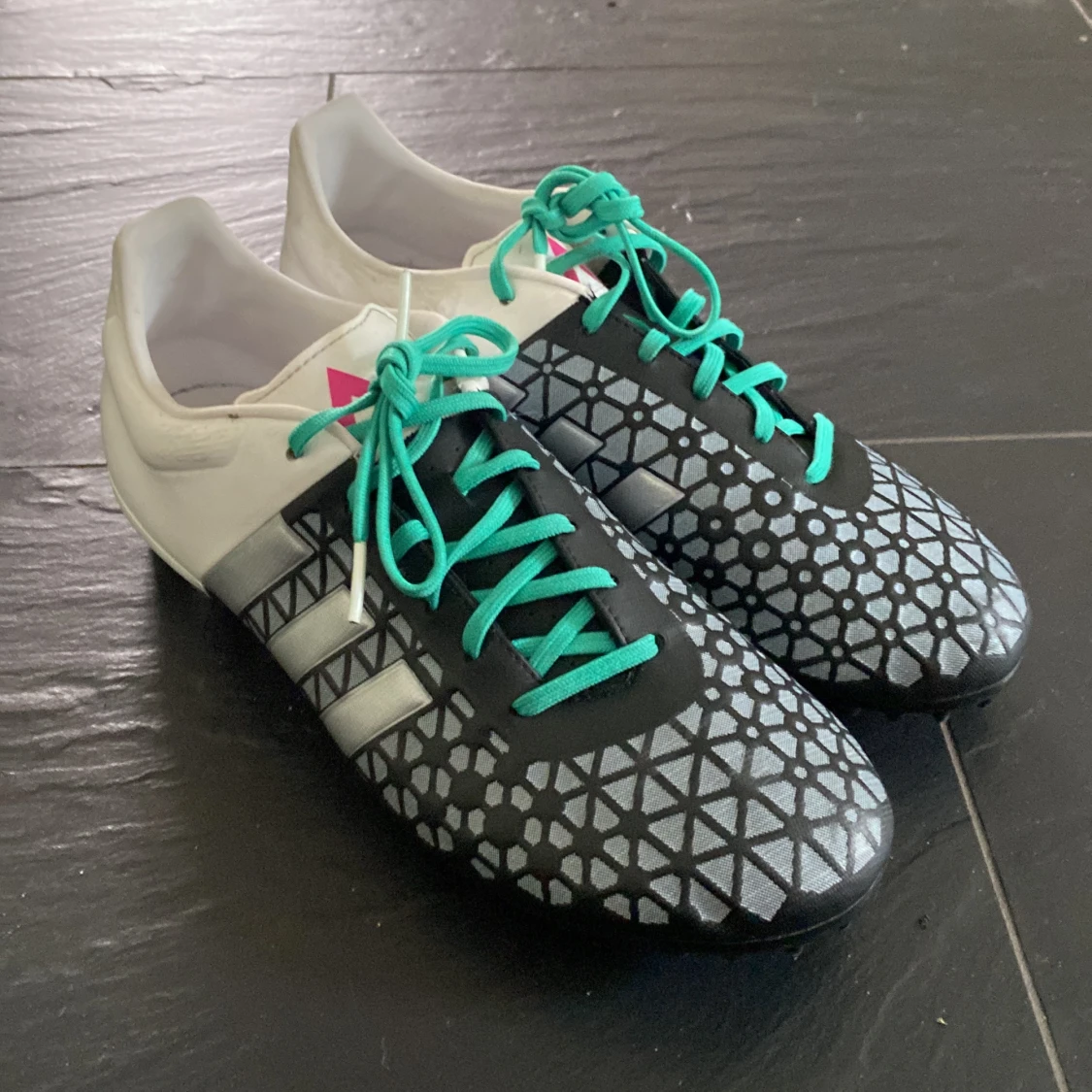 Sällsynta aridas predator 15.3