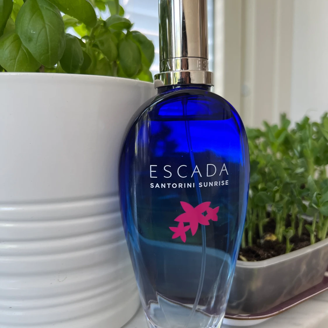 Escada Santorini sunrise 