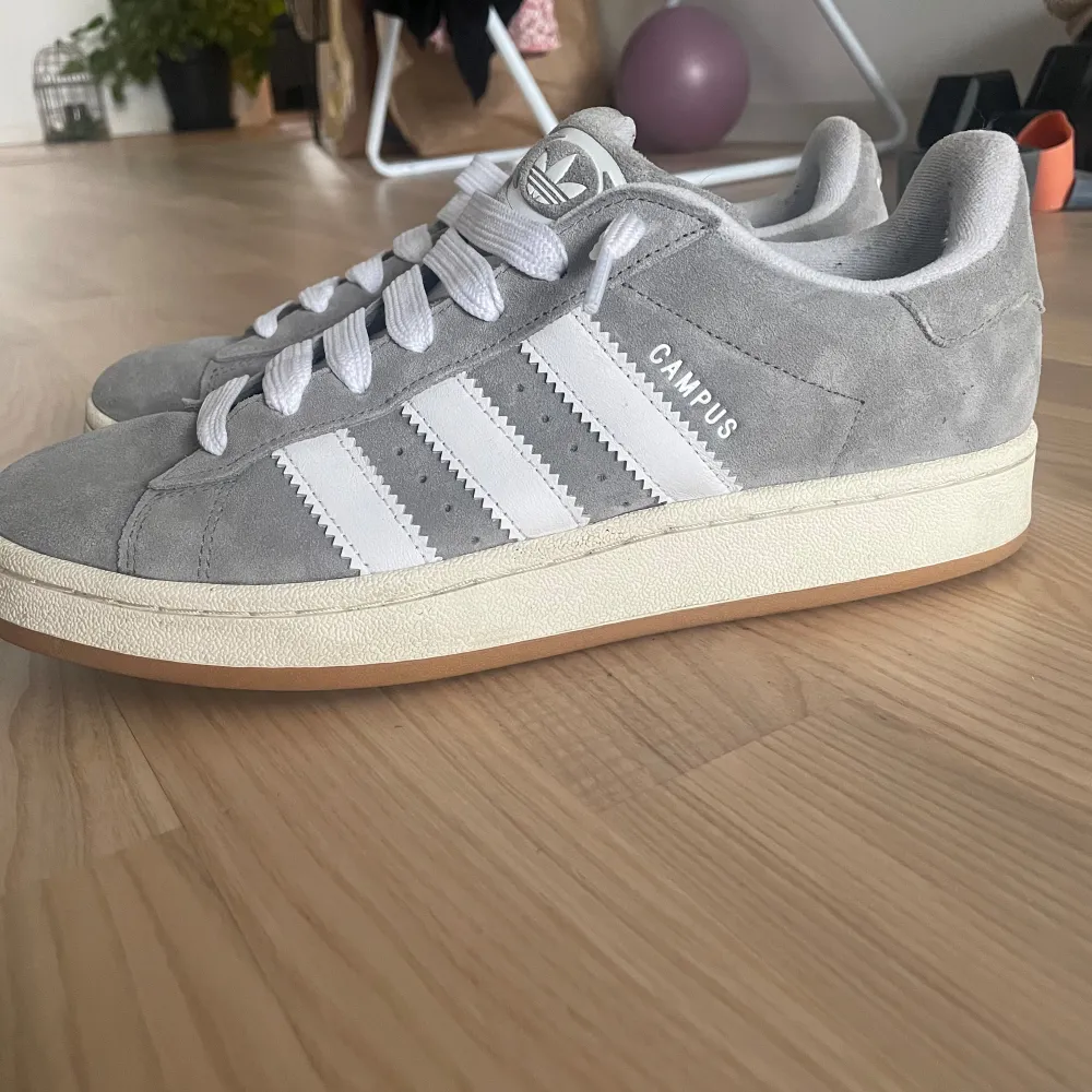 Jag säljer mina adidas campus 00s i mycket fint skick då de endast är använda ett fåtal gånger😁. Storlek 43 och 1/3 men passar mig som har 42-43 och säljes pågrund av att de ej används. Riktigt snygga skor i bra kvalite🔥. Extra skosnöre finns med  . Skor.