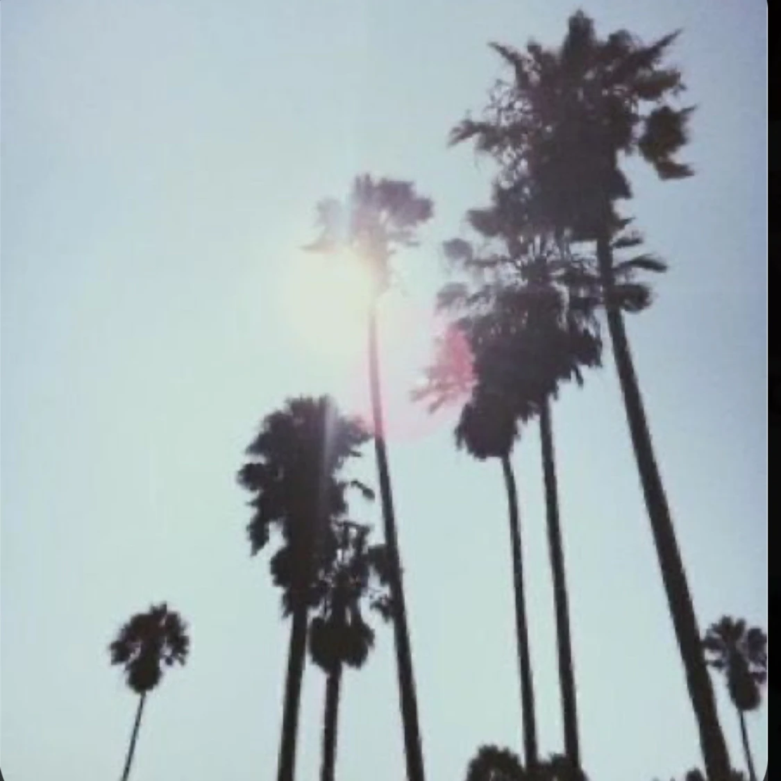 Ikoniska Victoria’s secret parfymer - 92