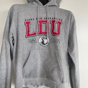 College hoodie - Riktig college hoodie!