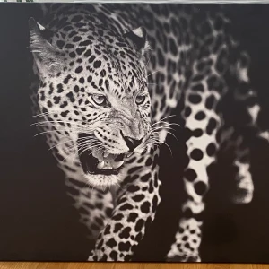 Tavla - Helt ny tavla köpt på gekås Ullared  