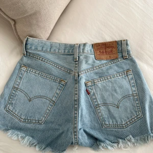 Levi’s shorts  - 25W