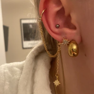 Örhänge - Guldigt örhänge för både vänster och höger öra. Delen som sitter i brosket är fake-örhänge så man behöver inget hål