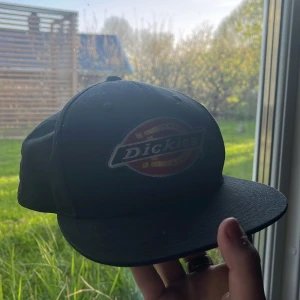 Dickies keps - Fick den i julklapp men har aldrig använt då den inte passar min stil Så typ ny