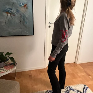 Zadig sweatshirt 😽 -  Kashmir tröja i grå från Zadig 💗💗💗 Bra skick ! Prisets kan diskutera 💗 