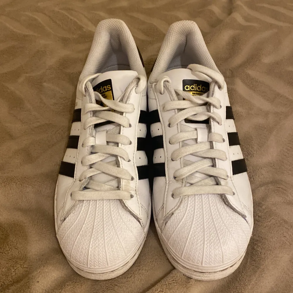 Adidas superstar som är änvända ett fåtal gånger storlek 40  . Skor.