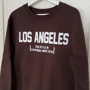 Sweatshirt från Zara med snyggt tryck! Mycket fint skick då den bara är använd fåtal gånger. 
