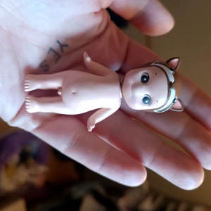 Sonny angel raccoon - Sonny angel som stått på min hylla som letar ett nytt kärleksfullt hem <33