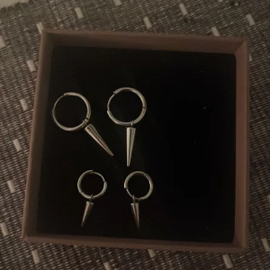 Edblad örhängen  - Edblad örhängen stora och små båda för 300 eller 150 kr par 