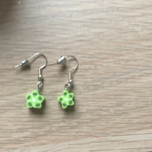 Kiwi örhängen  - Aldrig använda