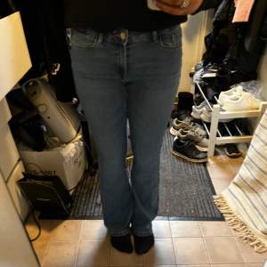 ett par jätte fina lågmidjade bootcut jeans från vero moda🫶 bra skick men har gått sönder lite längst ner i hälen pga dom är för långa så har släpats i marken men inte mycket😘 dom är stretchiga så passar nog S/M själv har jag S och åker ner lätt❤️