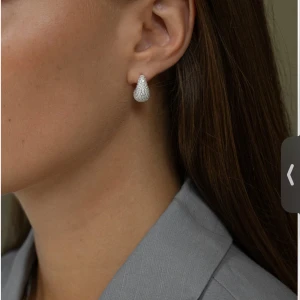 Silver örhängen - Säljer mina superfina Muli Collection örhängen för att de inte kommer till användning längre. Väldigt bra skick❤️