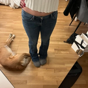 Blå jeans med bootcut - Säljer ett par klassiska blå jeans med bootcut passform och låg midja. Jeansen har fem fickor och stängs med dragkedja och knapp. Perfekta till vardags för en avslappnad stil. Slitage längst ner på byxbenen finns