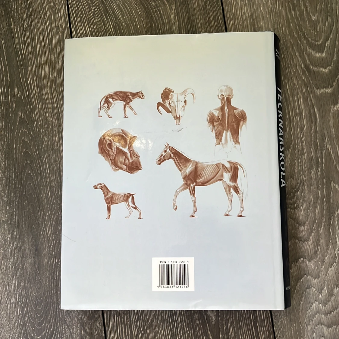 Anatomisk Tecknarskola: Människa • Djur • Jämförande Anatomi - 1