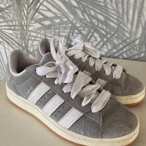 Adidas campus - Gråa adidas campus använda endast 1 gång, priset går att diskutera, även gråa snören medföljer.