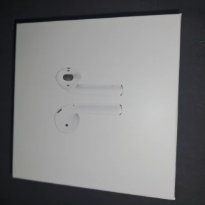 Earphones  - Have been worn, great shape.