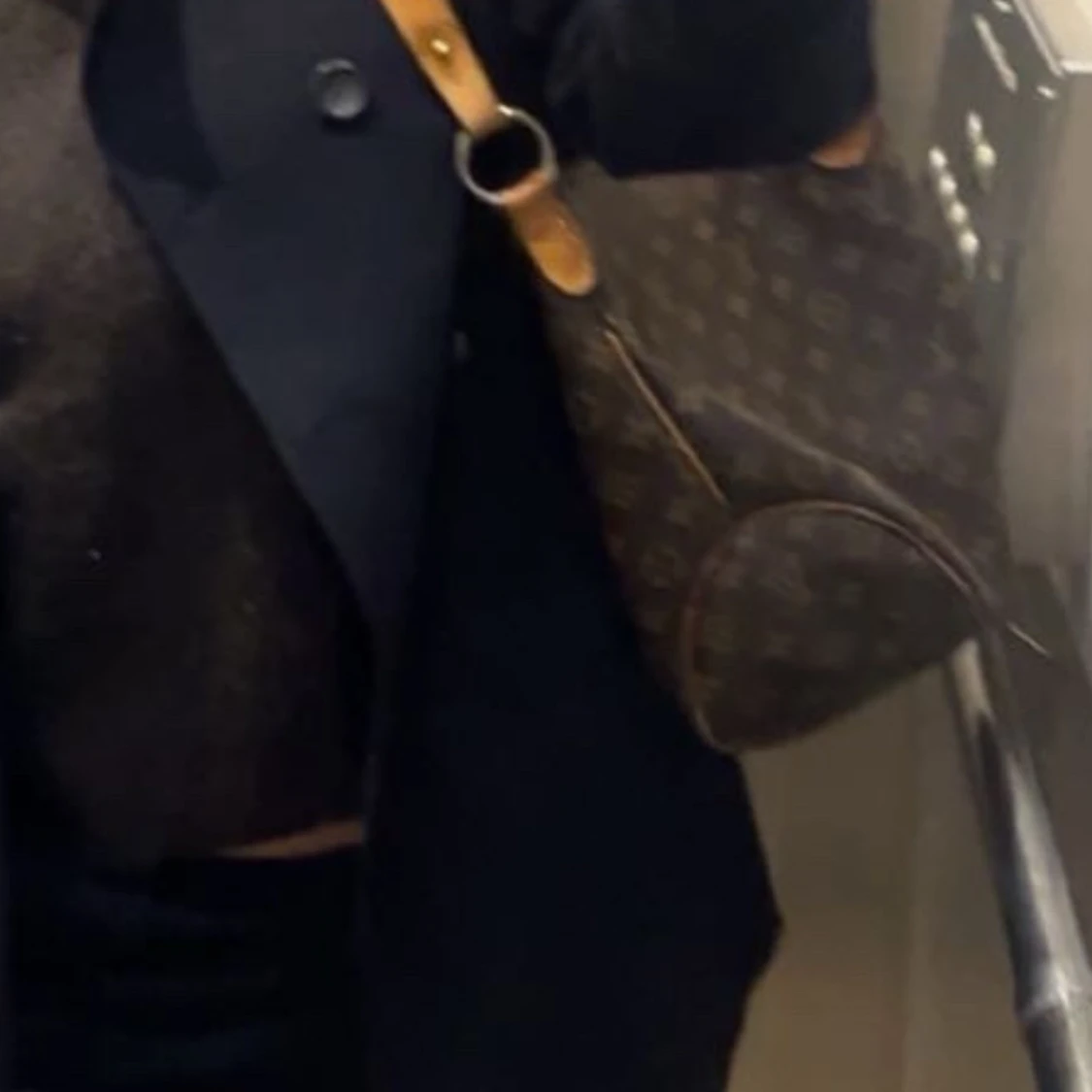 Louis Vuitton delightful