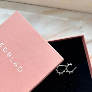 Silvriga örhängen med nitar från Edblad - Säljer ett par jätte snygga nit örhängen från Edblad, väldigt bra skick, använd endast en gång utan defekter💕💕💕