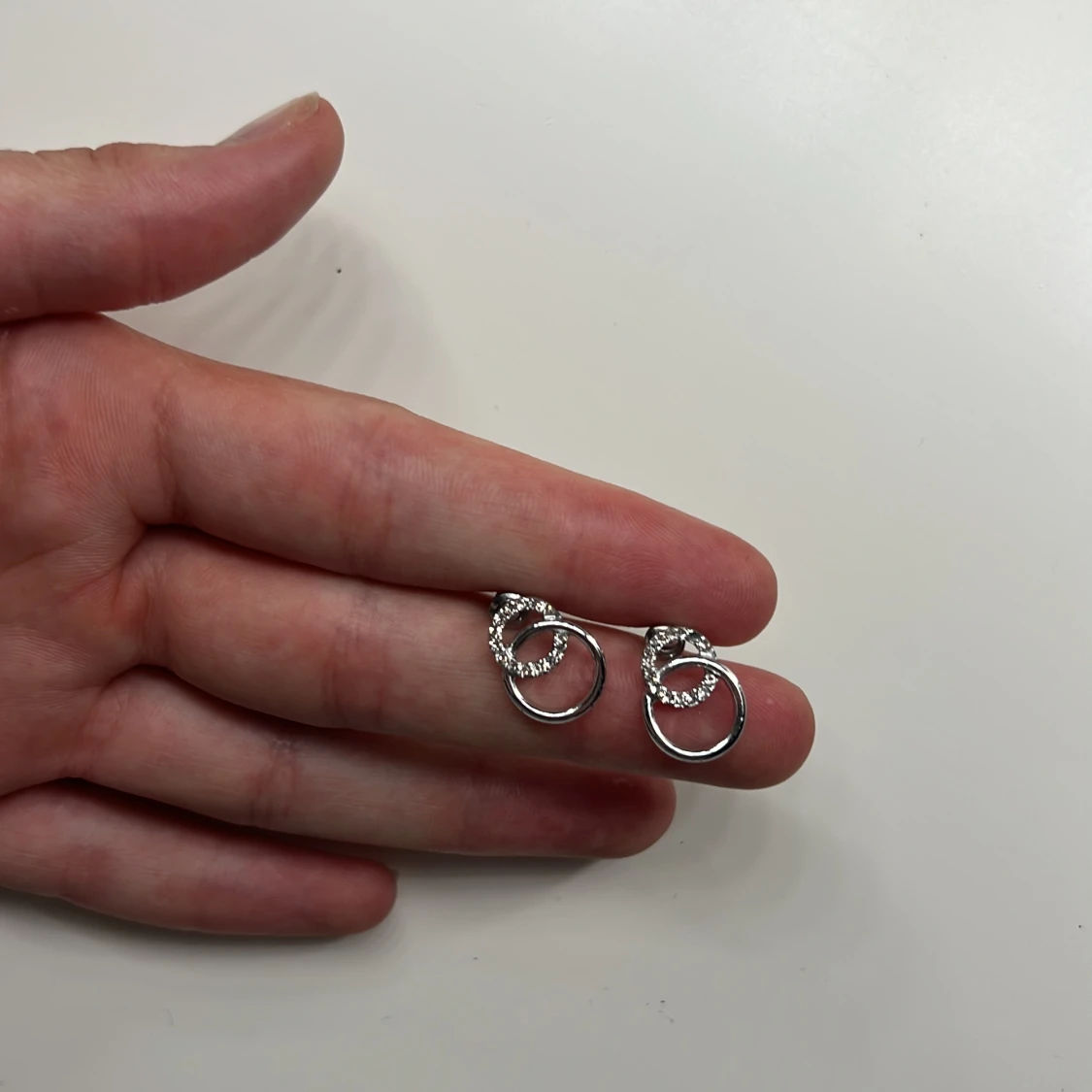 Silvriga örhängen med dubbla ringar - 1