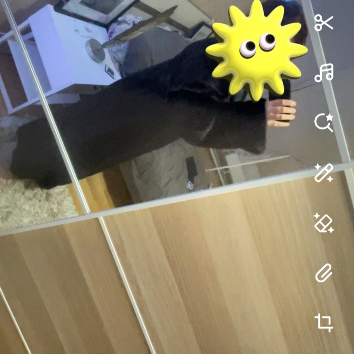 Lång mörk pälsjacka i klassisk stil