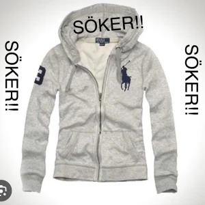 Grå hoodie från Ralph Lauren - Söker en grå Ralph lauren zip up. 