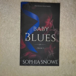 Baby Blues bok 3 i serien - Upptäck tredje delen i Her Seduction Series! En TikTok-stjärna och Booktoker får en före detta soldat som livvakt. Spänning, attraktion och ett Halloween-ball bland bokälskare väntar. Perfekt för dig som gillar romantik och drama med moderna inslag.