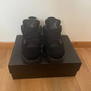 Jordan 4 blackcat  - Säljer Jordan 4 blackcat helt o använd, storlek 41, dm för mer bilder