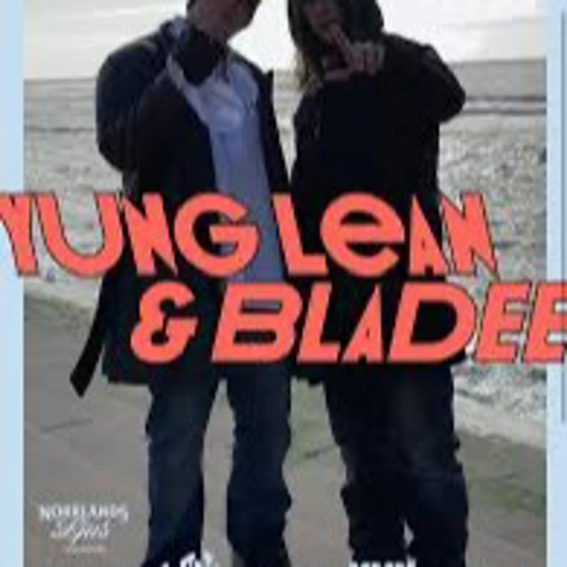 Yung Lean & bladee poster