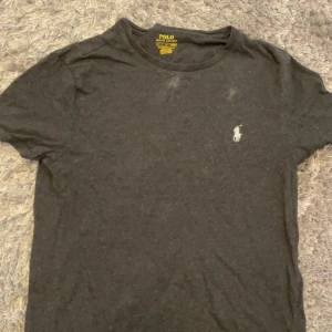 Mörkgrå t-shirt från Polo Ralph Lauren - Snygg mörkgrå t-shirt från Polo Ralph Lauren med klassisk vit broderad logga på bröstet. Modellen är slim fit och har rund hals och korta ärmar. Perfekt för en clean och stilren look.