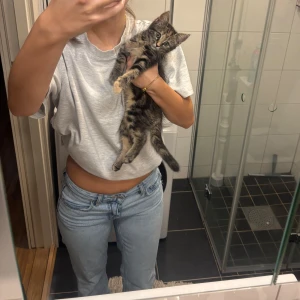 Lågmidjade jeans 🩵 - Strl 34