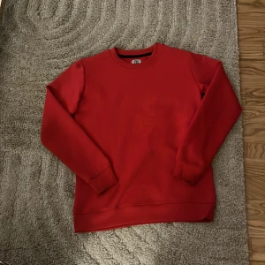 Röd sweatshirt från Studio - Säljer en snygg röd sweatshirt från Studio med ett subtilt drakmönster på framsidan. Tröjan har långa ärmar och en rund halsringning. Perfekt för en stilren och bekväm look.