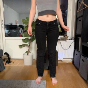 Raka jeans Dr Denim - Raka jeans från Dr Denim i storlek M/32