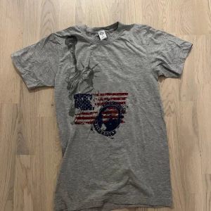 Grå t-shirt med amerikanskt tryck och frihetsgudinnan - Säljer en grå t-shirt från AA med tryck av frihetsgudinnan och amerikanska flaggan på framsidan. T-shirten har rund hals och korta ärmar. Perfekt för dig som gillar streetstyle och coola prints.