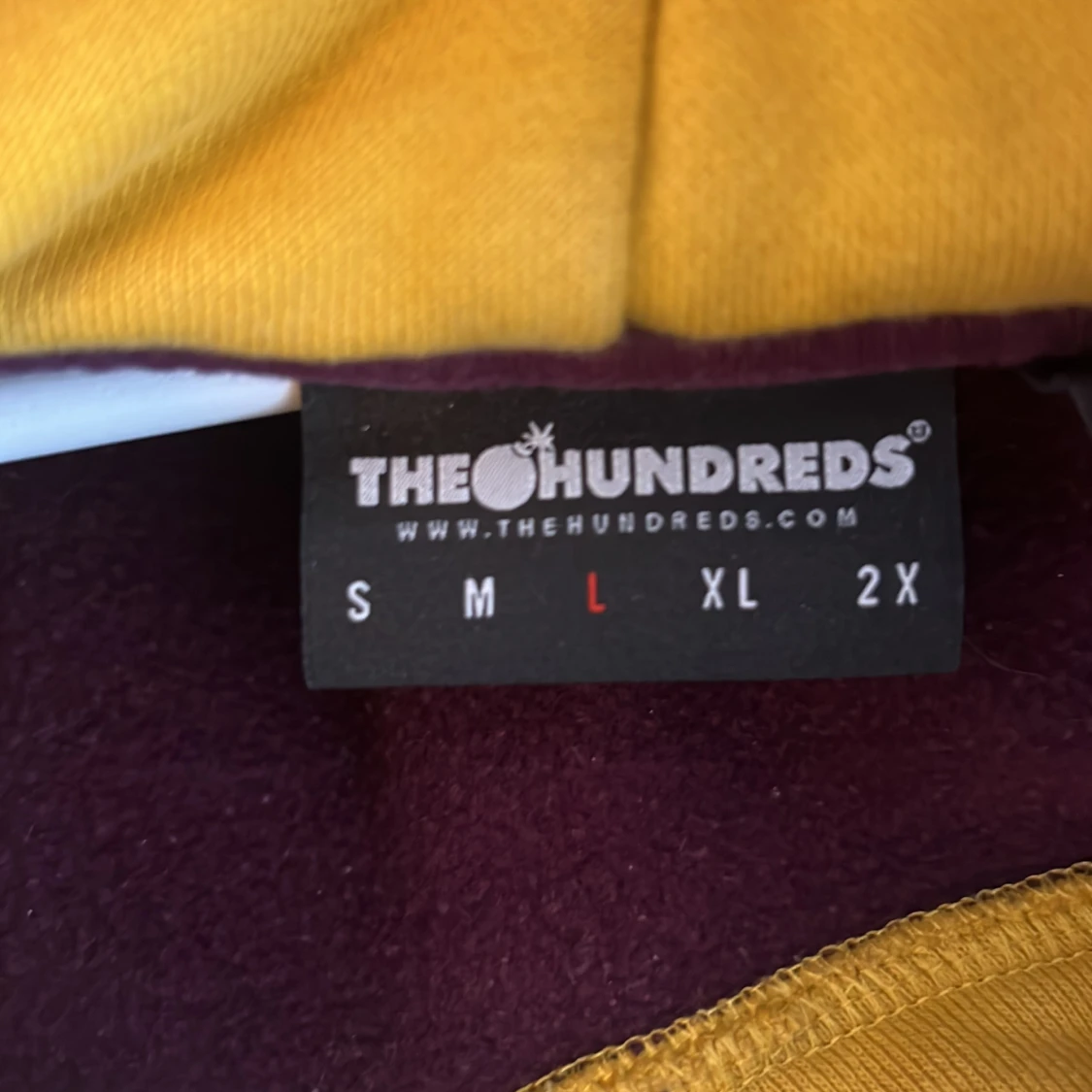 Colorblock hoodie från The Hundreds - 2
