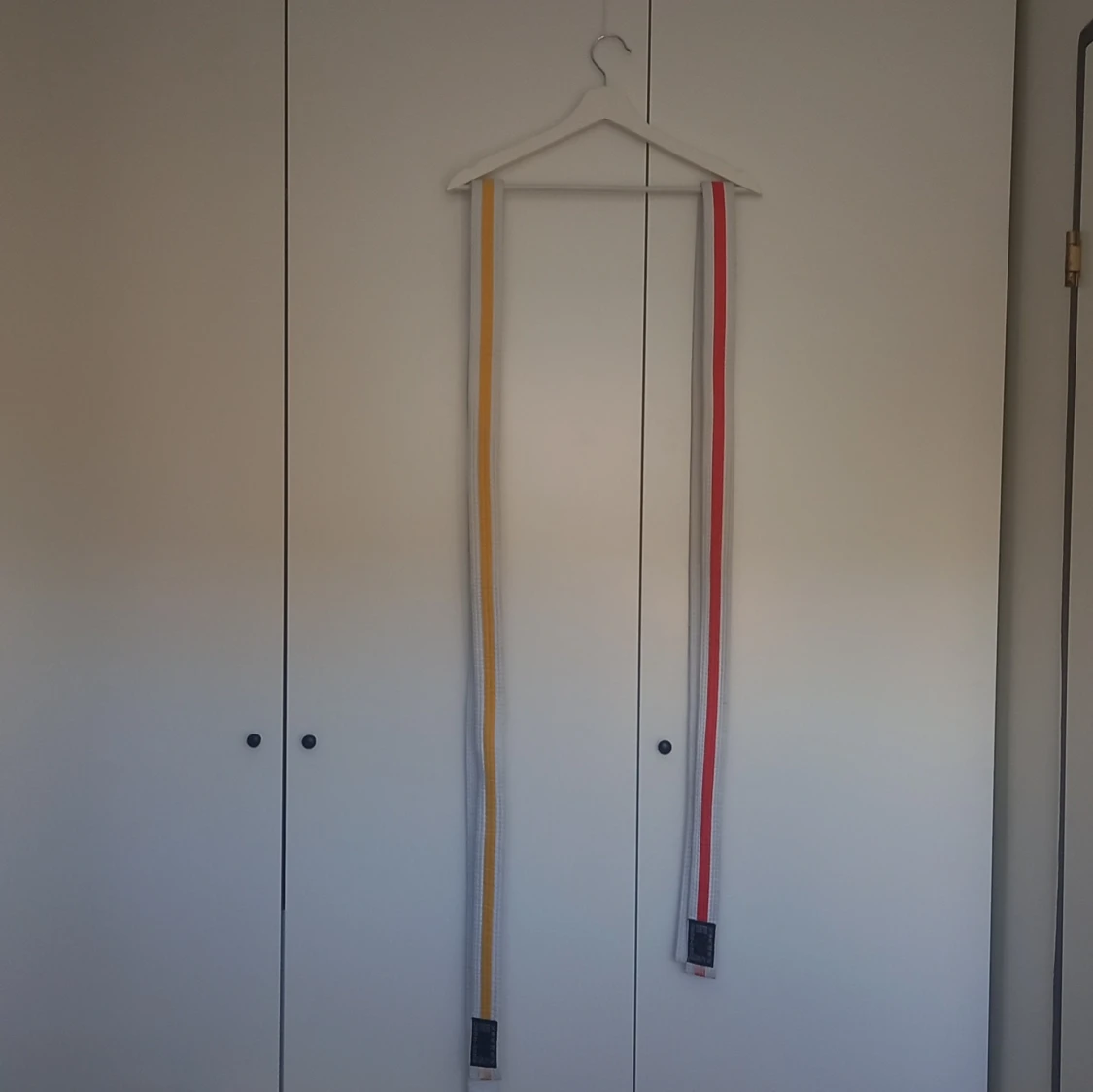 Två Jujutsubälten Budo-Nord