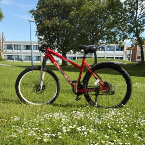 RÖD MTB - Bilderna visar en röd mountainbike av märket Crescent, modell MTB Alloy 24SP. Cykeln har grova däck, stänkskärmar, och ett bekvämt sadel från Biltema. Perfekt för dig som gillar att cykla i skogen eller till skolan. Utrustad med växlar och handbromsar för extra kontroll. Det bra priset är för att Fram gaffeln på cykeln är trasig och behövs bytas. Sen är den rätt så gammal också så den är lite rostig men funkar magnefikt ändå. Skriv i Dm om du har flera frågor