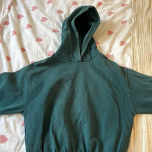 Grön hoodie från Zara - Säljer en grön hoodie från Zara i storlek 164. Den har en klassisk design med huva och ribbade muddar lite fläckar av färg 