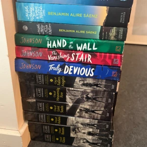 Bokserier  - Bokserier med titlar av Benjamin Alire Sáenz, Maureen Johnson och Cassandra Clare. Innehåller färgglada pocketböcker på engelska, bland annat 'Aristotle and Dante Discover the Secrets of the Universe', 'Truly Devious'-serien och 'The Infernal Devices'-trilogin. Skriv för prisförslag 