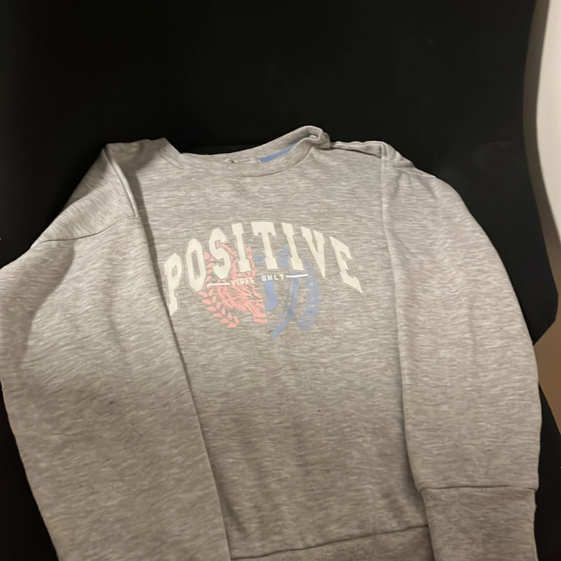 Grå sweatshirt från Primark