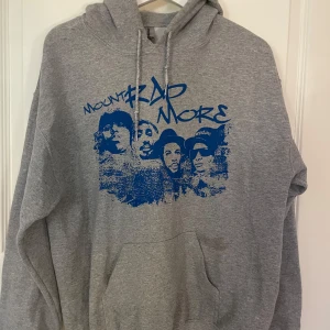 Grå hoodie med tryck - Grå hoodie med mount rap more tryck från Gildan, liten fläck vid framfickan, går säkert bort i tvätten:)