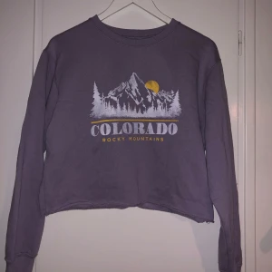 Kortare sweatshirt  - Nyskick  St S Hollister 