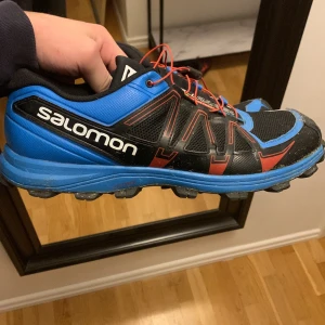 Salomon fell raiser - Skor, fint skick. Kommer vara rena från smuts vid leverans.  46 / 29,5 cm 