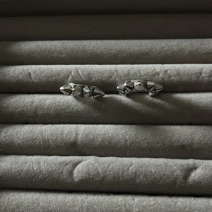 Silvriga örhängen med nitar ifrån edblad - Snygga silvriga örhängen med nitar. Köpt ifrån edblad original priset 399, har tyvärr inte kvar kvitto eller förpackningen men har inte används för jag använder guld💕