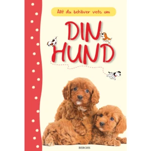Allt du behöver veta om din hund (inbunden) - Perfekta boken för dig som går i hundtankar med fakta om allt från att välja valp ur kullen till att hitta rätt pälsborste. Här får du hjälp på vägen att få en frisk och glad hund. Rikt illustrerad med fotografier och teckningar. Ur innehållet: Valpvett Hundspråk Träning Pälsvård    Format Inbunden   Omfång 63 sidor   Språk Svenska   Förlag Berghs   Utgivningsdatum 2013-05-14   Medverkande Christyan Fox   Medverkande Kersti Wittbom   ISBN 9789150219708  