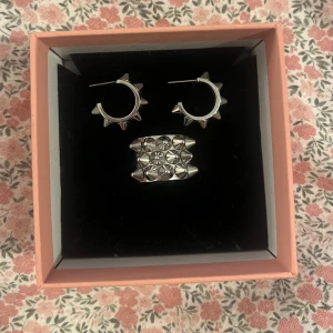 Edblad örhängen och ring - Supercoolt set med nitring och nitörhängen från Edblad💕