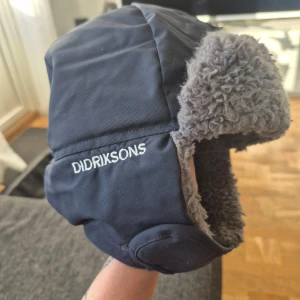 Blå vintermössa från Didriksons - Säljer en varm och skön blå vintermössa från Didriksons med grått foder. Mössan har öronlappar och är perfekt för kalla dagar. Den är tillverkad i ett slitstarkt material och har en broderad logotyp på sidan.