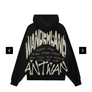 Säljer en Antwan wanderland hoodie i storlek M då jag hade velat ha en storlek större. Slutsåld på dopest. Aldrig använd