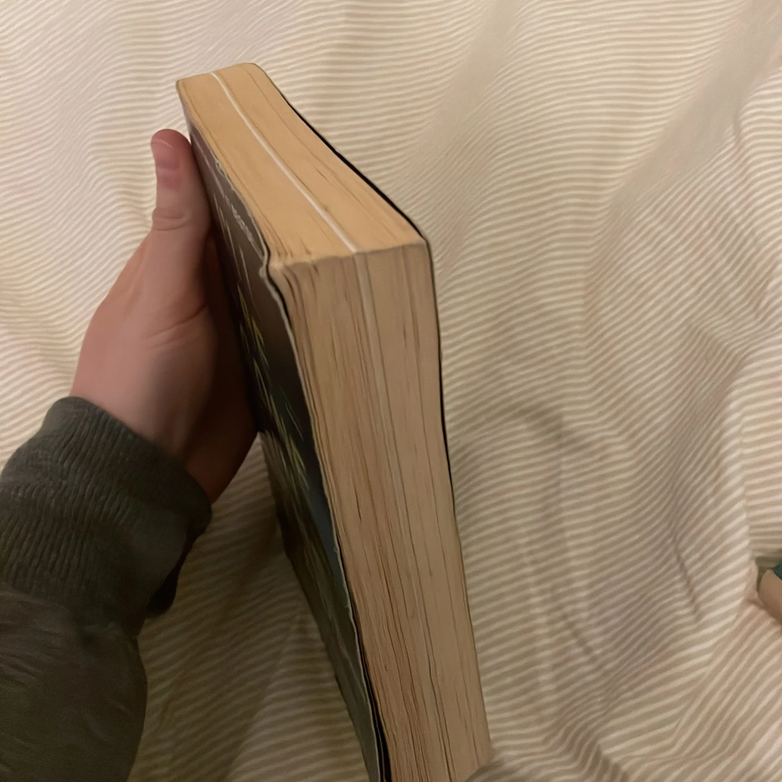 I'll Be Gone in the Dark bok - 2