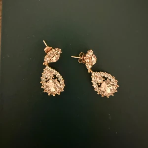 Lily and Rose örhängen  - Använda några gånger, superfint skick 